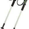 trekking pole